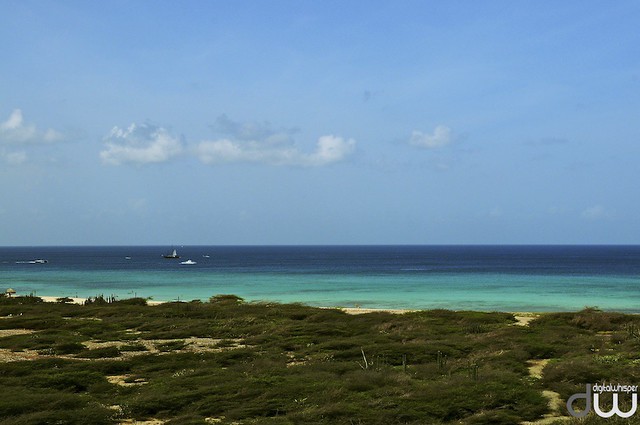 Aruba estate 2010