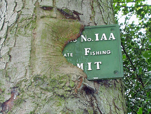 Private Fishing sign