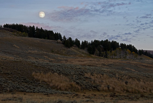 trees sunset moon mountains dusk hills valley yellowstonenationalpark nightfall ynp 2010 lamarvalley coth