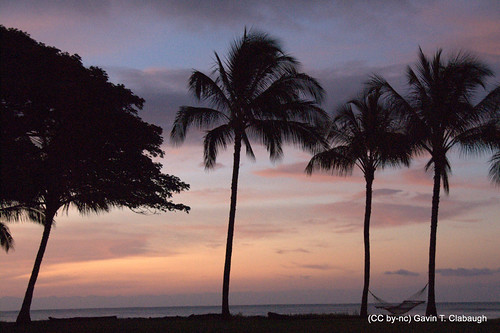 sunrise dawn hawaii waimea