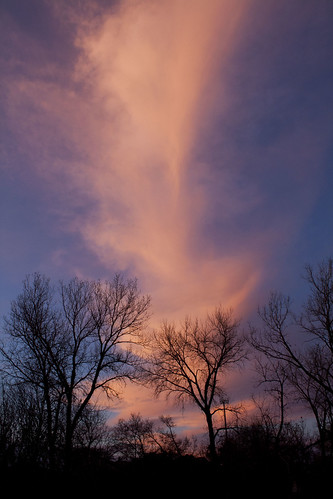 trees sunset oklahoma canon photography