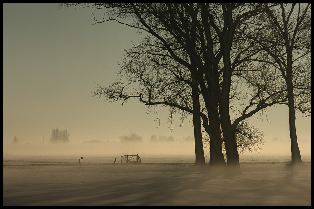 winter-mist-explored-33-at-21-december-2010-canon-eos-flickr