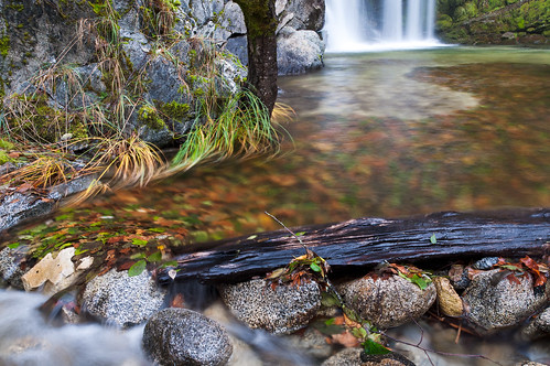 ca autumn leaves rock creek landscape us waterfall moss log redding uppercrystalcreekfalls