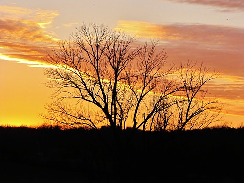 travel trees sunset sky usa nature clouds canon view south country peaceful powershot arkansas ozarks tranquil hwy65 sx10is waltphotos