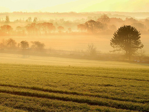morning mist france nature fog gold or country lorraine brouillard marly brume matin therubyawardsinvitation