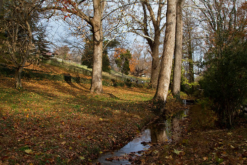 november virginia fallcolor parks richmond 2010 maymont latelight riversandstreams canon24105l localparks november2010