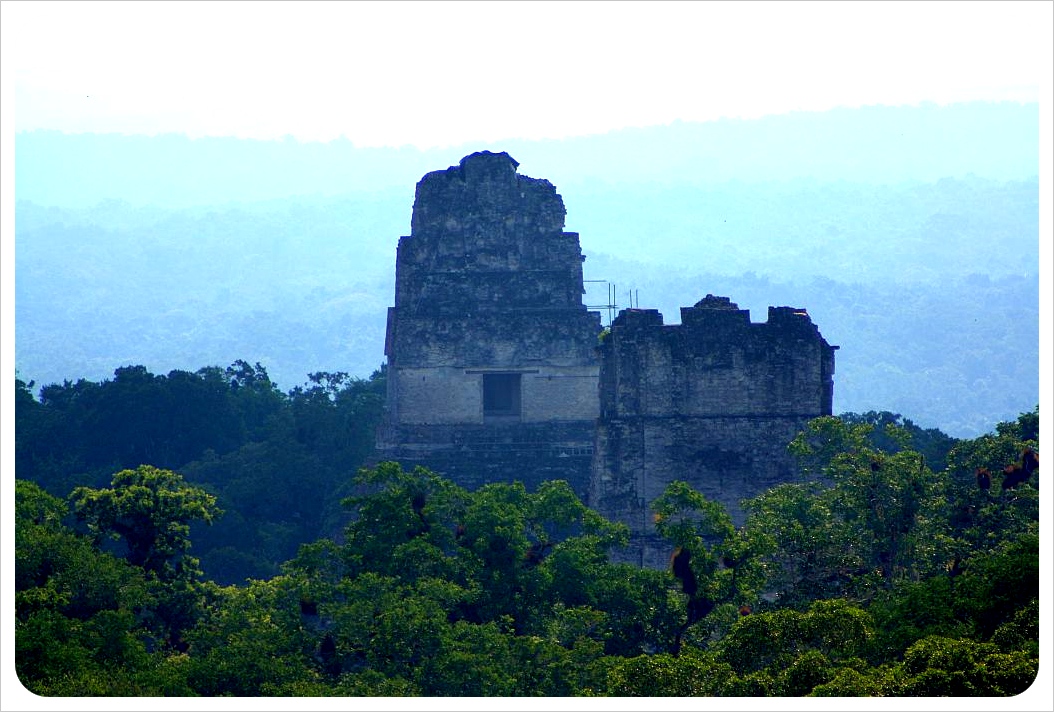 Tikal Ruin in the jungle