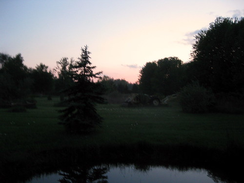 sunset summer nature twilight pond