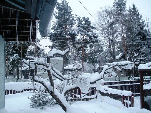 winter snow tallinn estonia eesti nõmme troydavidjohnston