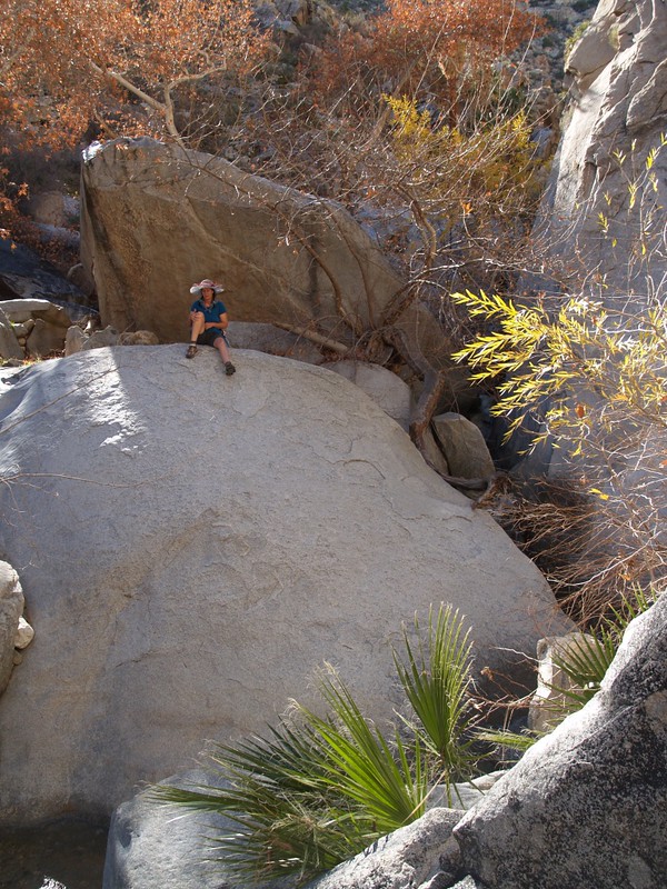 Vicki on a boulder