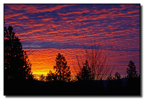 trees colors clouds sunrise washington spokane silhouettes christmaseve