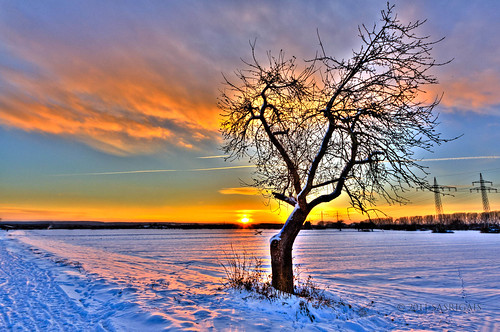 schnee winter sunset snow tree sonnenuntergang baum hdr 3xp photomatix