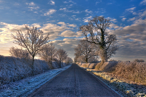 trees winter snow landscape nikon frost explore newroad d90 flickrexplore chevington glennscott