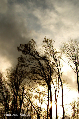 winter sky clouds michael woods michigan branches january olympus grandrapids webs westmichigan kentcounty c720 koole michaelkoole 2011365