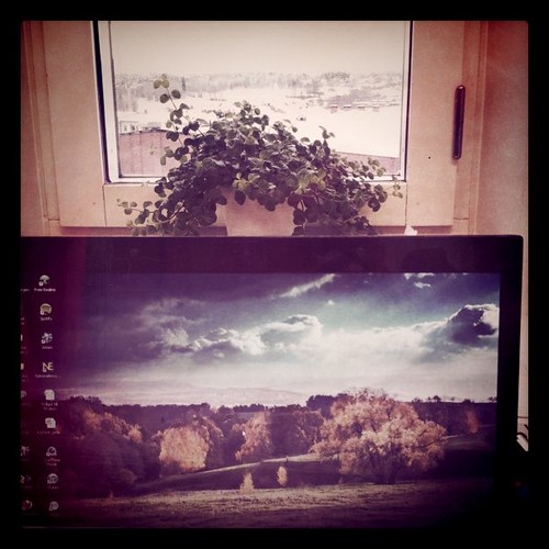 desktop window square seasons view hills squareformat 365 iphone yip 13i365 iphone365 iphoneography 2011yip instagramapp uploaded:by=instagram foursquare:venue=3541750