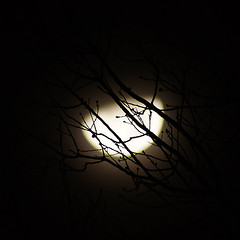 014/365: Friday, January 14, 2011: Midnight moon