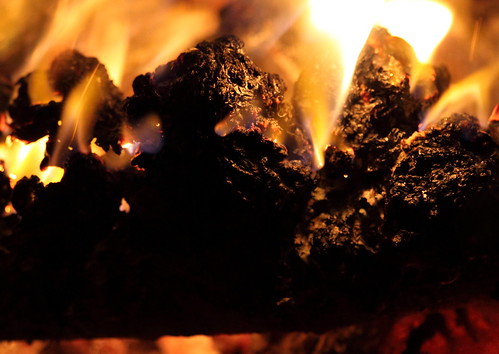 camping georgia fire brunswick burning campfire marshmallows raosting