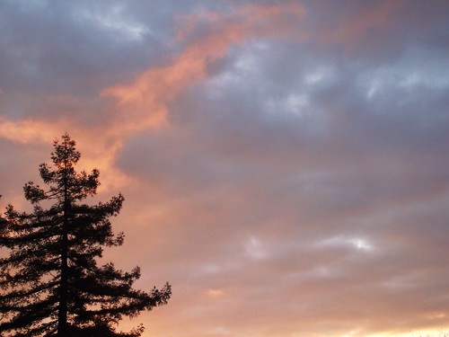 sunset sky tree nature clouds fire soleil coucher ciel nuage arbre couleur sapin splinter29
