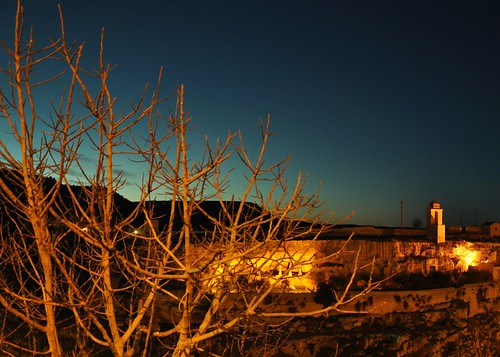 sunset albero gravina