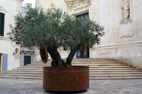 albero natale rosso puglia palle olivo martinafranca valleditria tafme