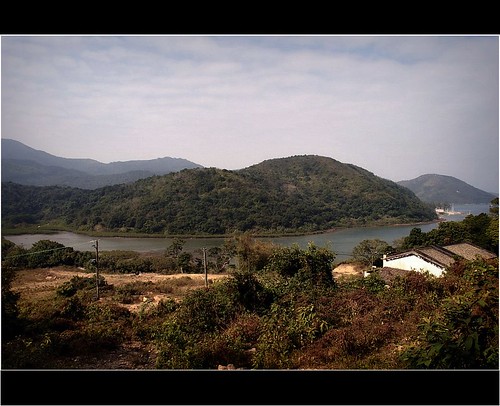 houses sea hongkong vegetation newterritories tokwapeng 土瓜坪