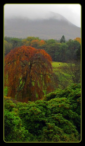 county ireland beautiful misty colours colourful nationaltrust incredible autumnal fermanagh florencecourt