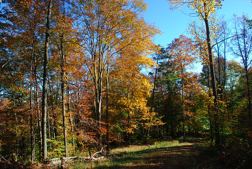 autumn color fall landscape october farmland westvirginia 2010