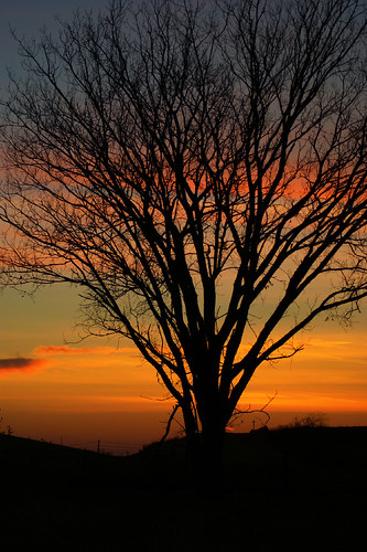 sunset oklahoma colors beautiful silhouette