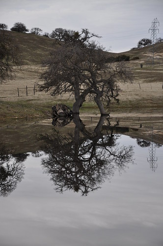 california sky reflection tree water fence landscape mirror countryside still pond hills rolling