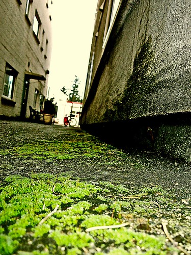 street old urban abstract green colors bike bicycle architecture vintage buildings photography photo washington moss view apartment pacific northwest decay south poor working picture class historic retro photograph level 1950s sound americana tacoma rent cheap cruiser puget 253 southtacoma