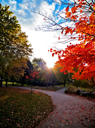 park york morning blue autumn trees sky orange sun toronto ontario canada color tree fall nature leaves sunshine clouds geotagged photography photo photos markham unionville toogood