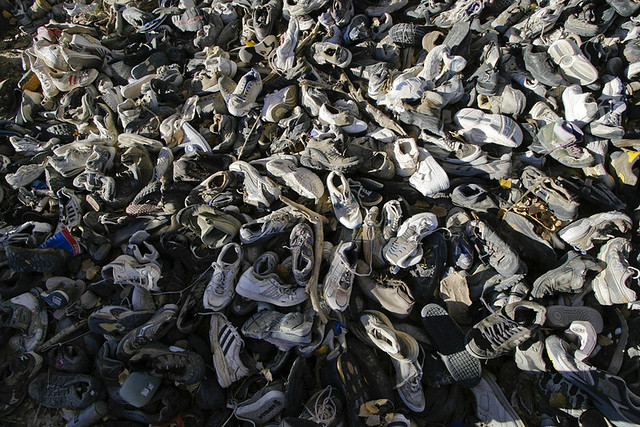 Shoe Tree - a gallery on Flickr