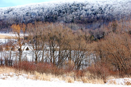 trees snow rural frost upstatenewyork newyorkstate elkcreek rurallandscape wintercolor schenevus otsegocounty edbrodzinsky sailsevenseas