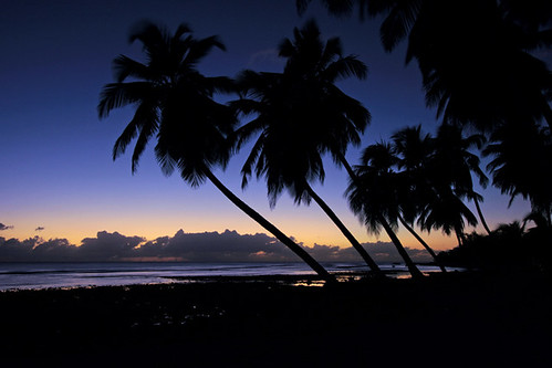 sunset tree church silhouette christ january palm barbados caribbean hastings 2011