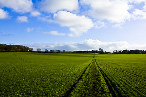 blue trees sky green field grass lines clouds contrast photoshop canon raw vibrant perspective handheld leading cs3 450d mygearandme ollyplumstead