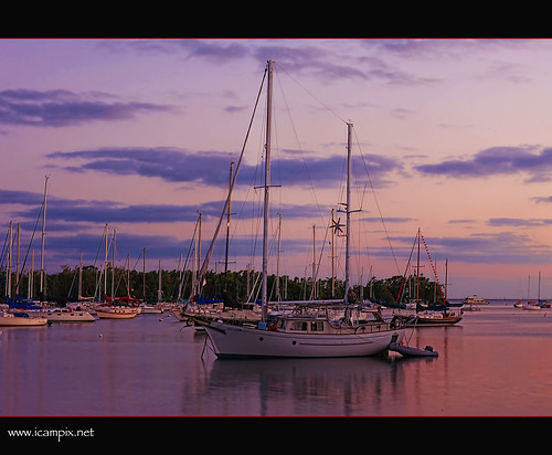 marina boats miami cityhall american panamerican yatch coconutgrove cocowalk onemillion dinnerkey abigfave xmaxprocessing maimicityhall xmax0405