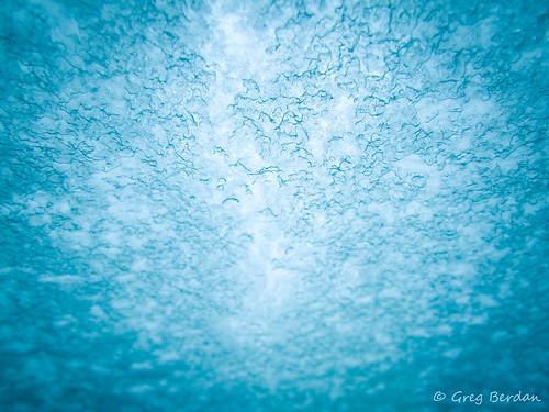 snow macro windshield