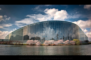Parlement Européen de Strasbourg au Printemps