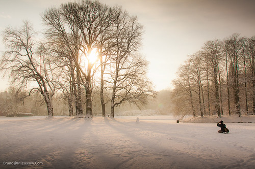 park morning winter sky sun snow man forest sunrise landscape person woods belgium snowy belgië filter lonely 1020mm bruno sunray flanders cokin vlaanderen 450d 121s misseeuw brunomisseeuw