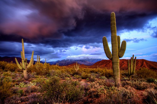 sunset arizona cactus mountain storm weather clouds desert wilderness saguaro hdr fourpeaks