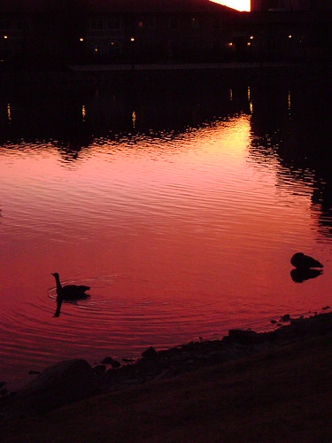 sunrise colorado broadmoor