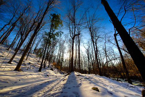 park trees winter sunset snow spring nikon wideangle falls fisheye d3 akron project365 defished sigma15mm photographyrocks joellim 214of365 shutterdpictures