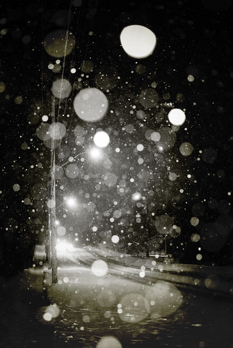 dark winter night by NaturesEssence