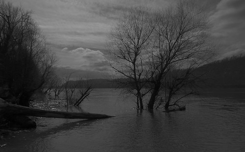 trees water night clouds river log shine nighttime faux february riverbank glimmer 34365 moonlitnight 365project greatpicturesoflandscapes 2011inphotos dwcffnight