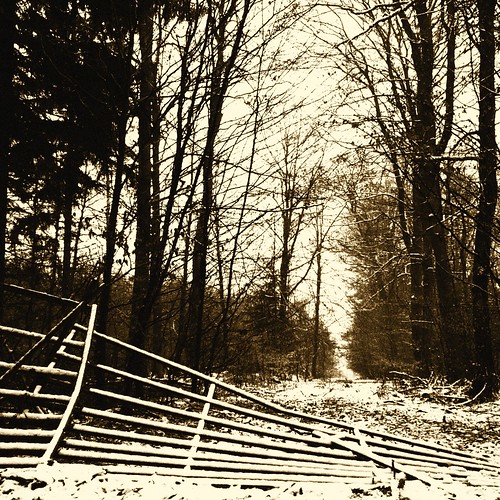 door winter snow tree sepia fence blackwhite branch forrest trail breakingthrough artfiltermonochromefilm