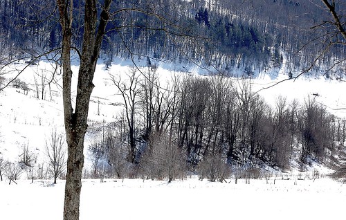 winter snow creek landscape upstatenewyork newyorkstate elkcreek schenevus edbrodzinsky