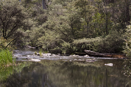 water forest australia nsw canonef70200mmf4lisusm canon40d monganationalpark