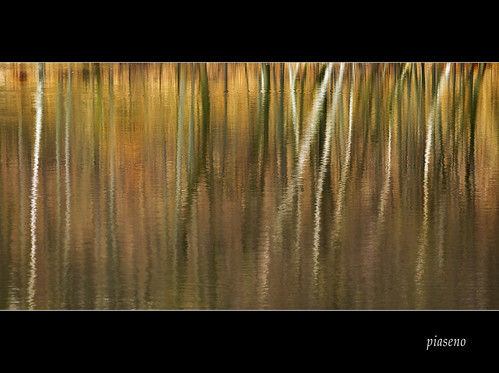 lake reflection tree landscape landschaft bestcapturesaoi elitegalleryaoi