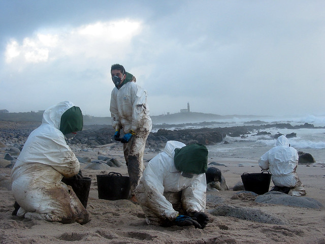 workers cleaning up oil from beach in Spain