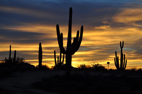 sunset shadow arizona night clouds nikon cloudy scottsdale saguaro maricopa d90